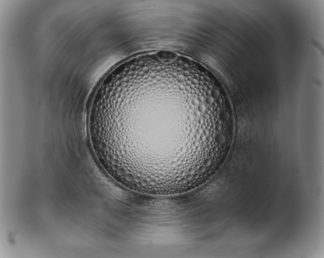 X0000101681079200807171406