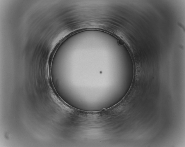 X0000101681080200807171406