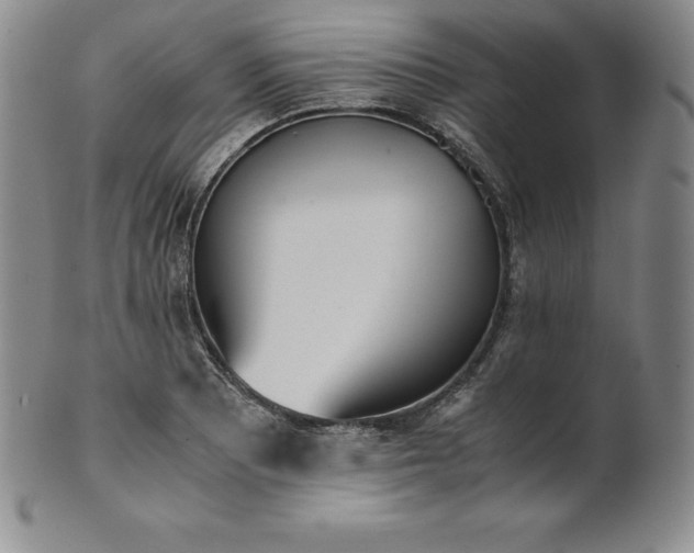 X0000101681081200807171406