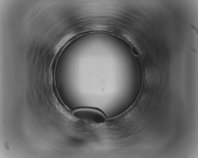 X0000101681082200807171406