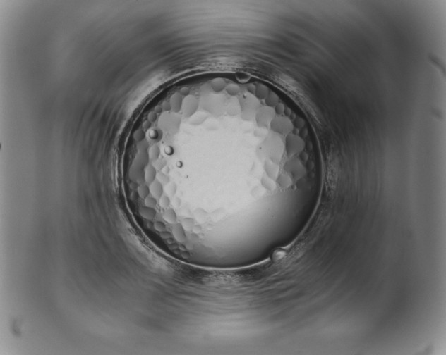 X0000101681083200807171406