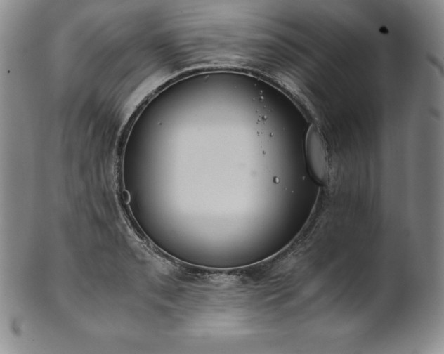 X0000101681085200807171406