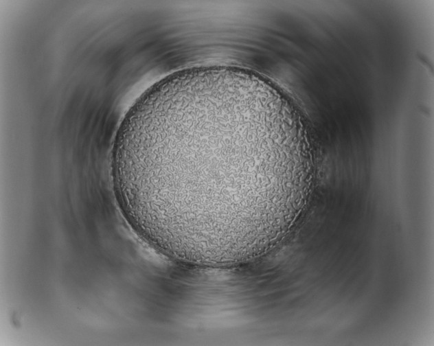 X0000101681086200807171406