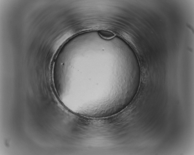 X0000101681087200807171406