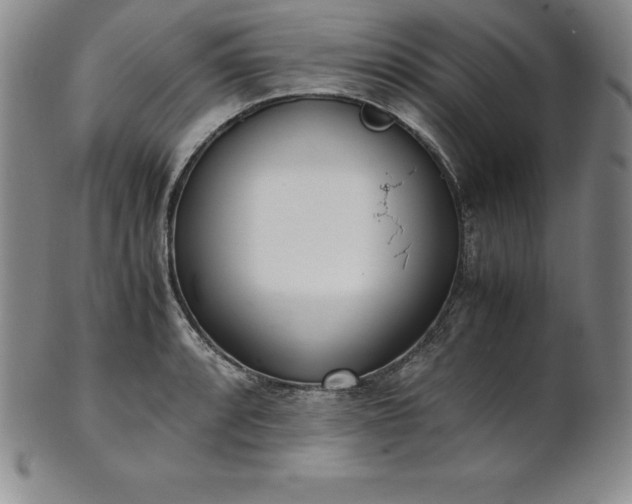 X0000101681088200807171406