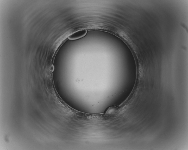 X0000101681089200807171406