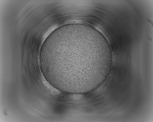 X0000101681090200807171406