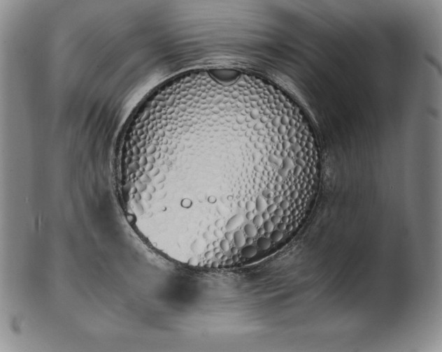 X0000101681091200807171406