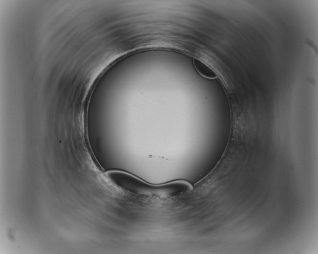 X0000101681092200807171406