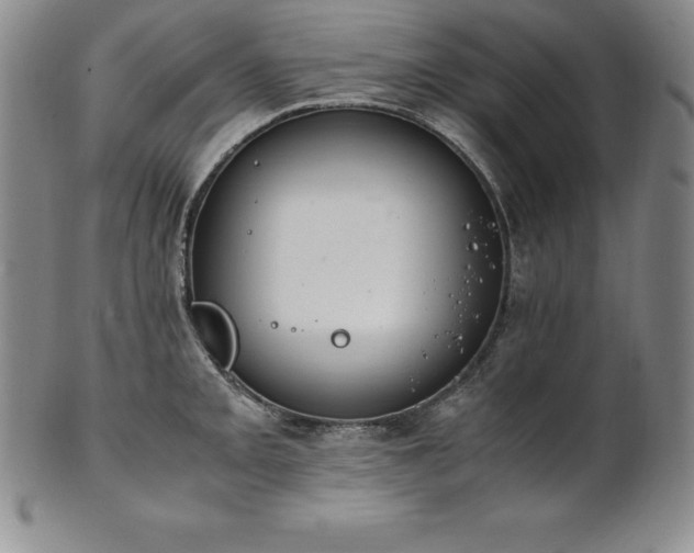 X0000101681093200807171406