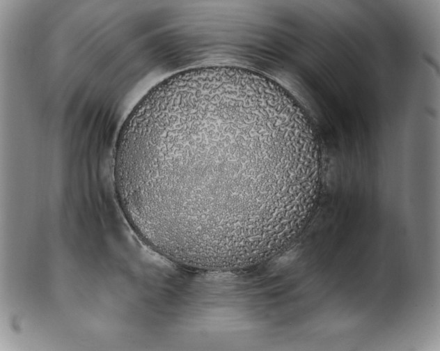 X0000101681094200807171406