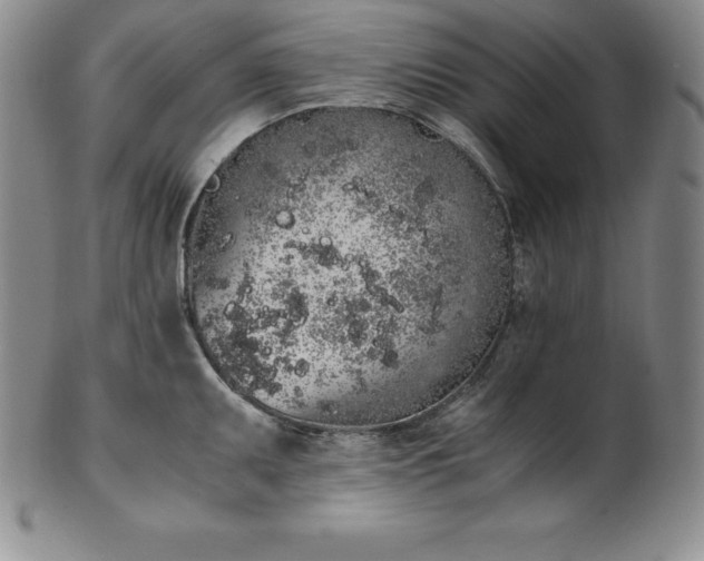 X0000101681095200807171406