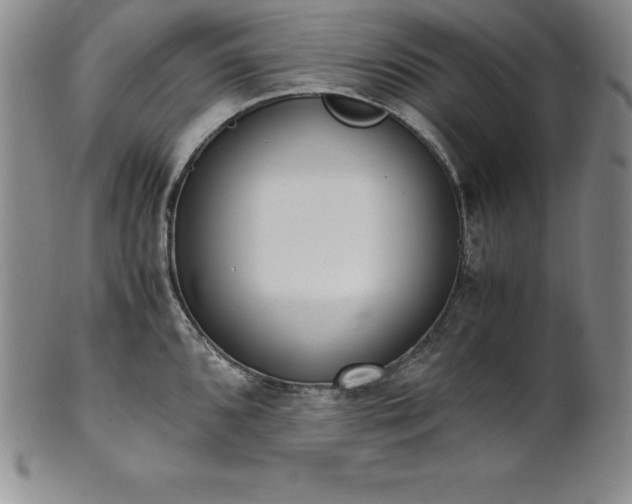 X0000101681096200807171406