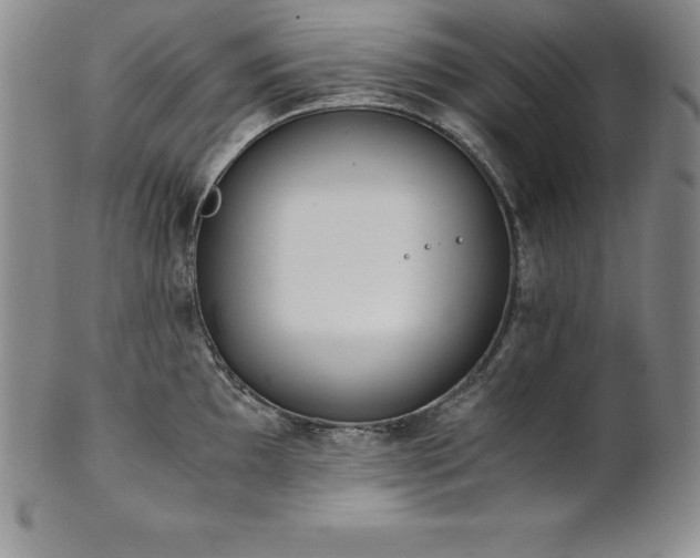 X0000101681097200807171406