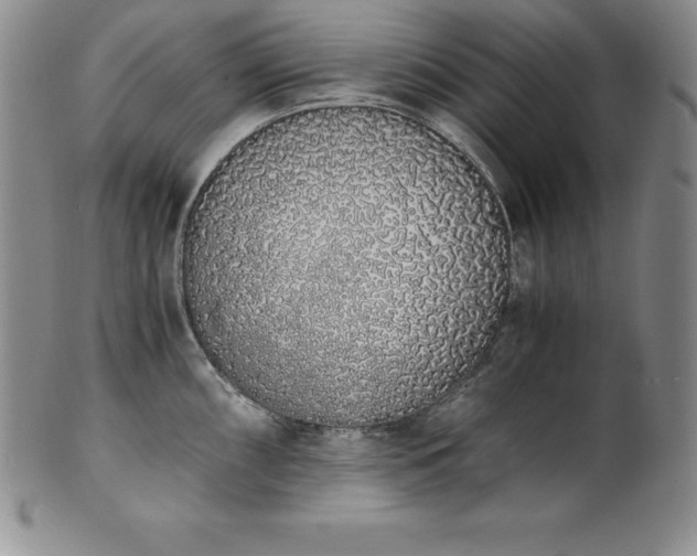 X0000101681098200807171406