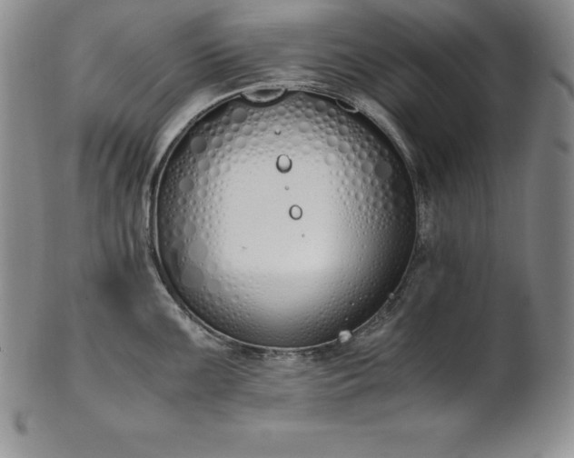 X0000101681099200807171406