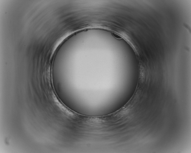 X0000101681100200807171406