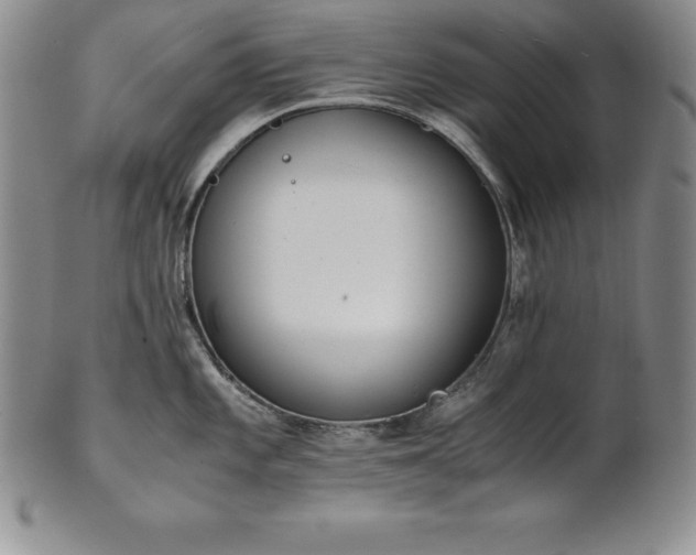 X0000101681101200807171406