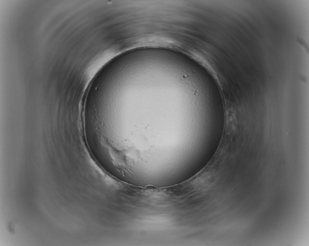 X0000101681103200807171406