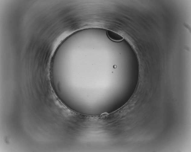 X0000101681104200807171406