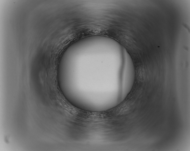 X0000101681105200807171405