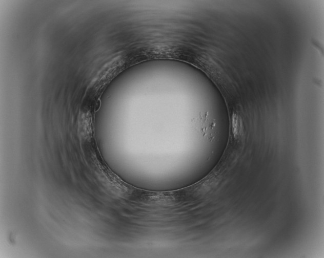 X0000101681107200807171405