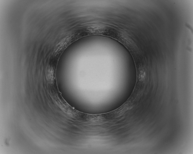 X0000101681108200807171405