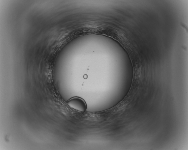 X0000101681109200807171405