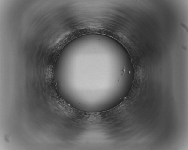 X0000101681110200807171405