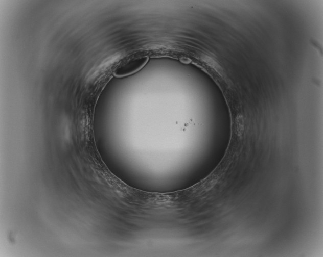 X0000101681111200807171405