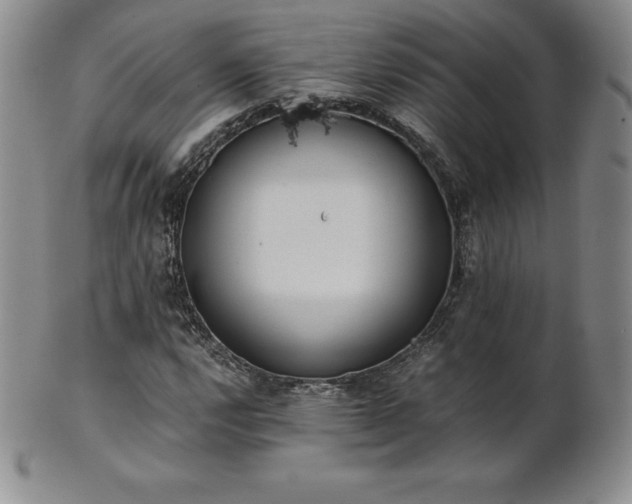 X0000101681112200807171405