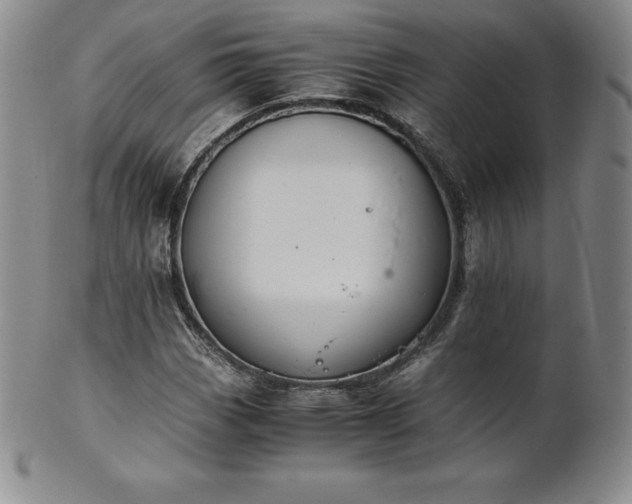 X0000101681113200807171405