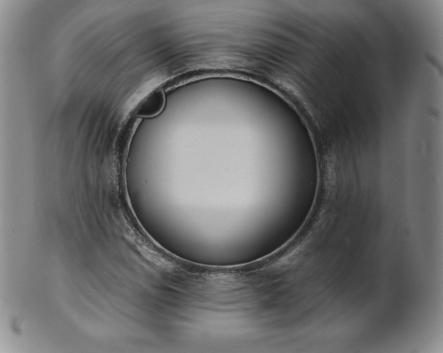 X0000101681114200807171405