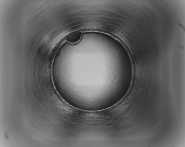 X0000101681115200807171405