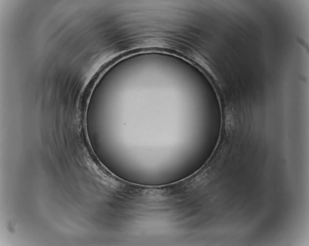 X0000101681116200807171405