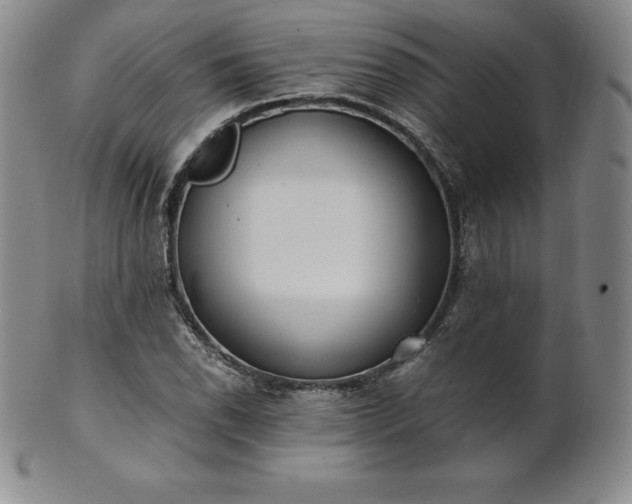 X0000101681118200807171405