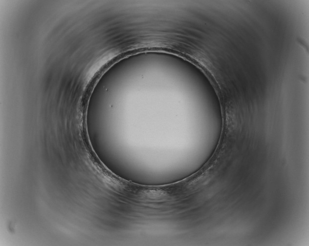 X0000101681119200807171405