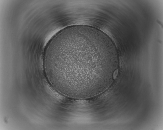 X0000101681120200807171405