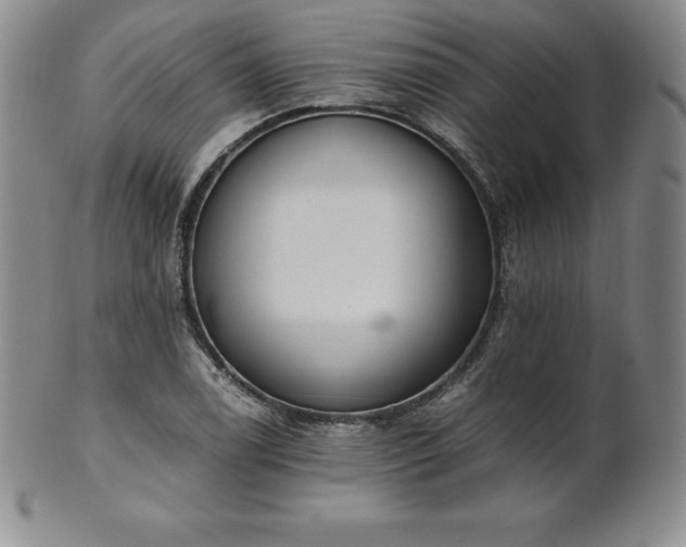 X0000101681122200807171405