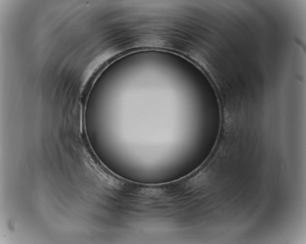 X0000101681123200807171405