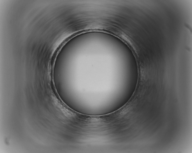 X0000101681124200807171405