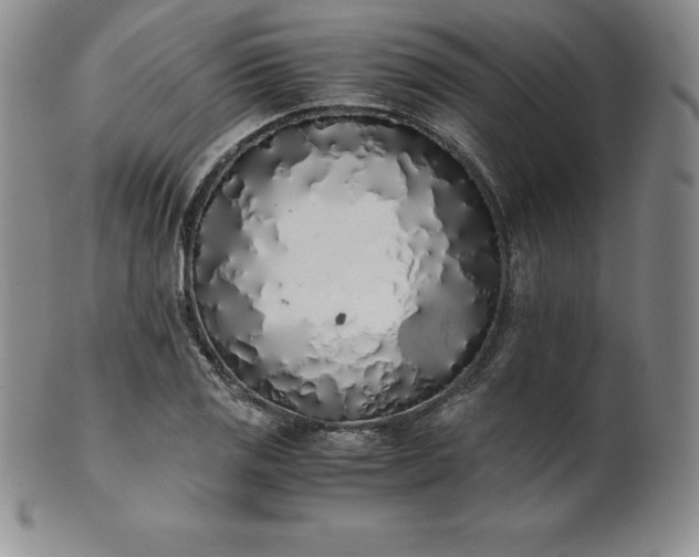 X0000101681125200807171405