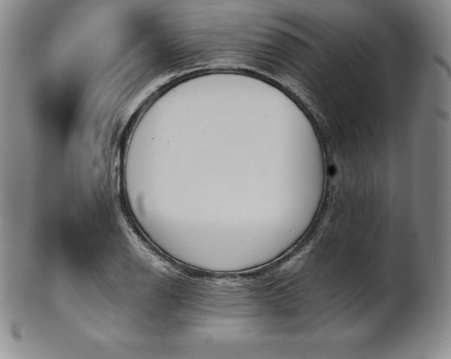 X0000101681126200807171405