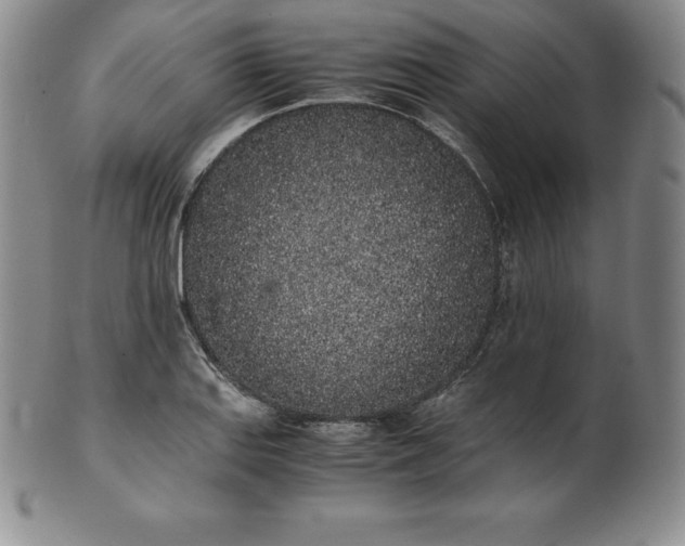 X0000101681127200807171405