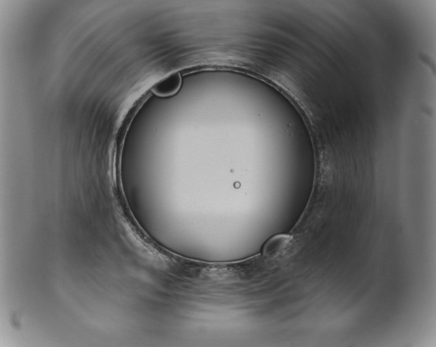 X0000101681128200807171405