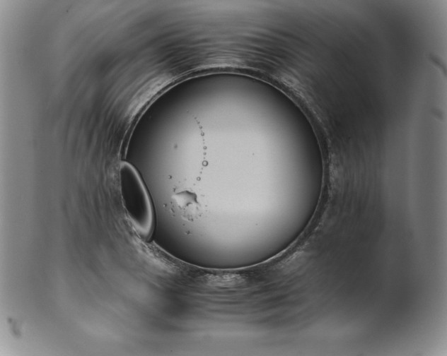 X0000101681129200807171405