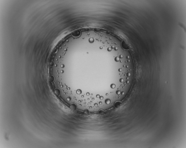 X0000101681130200807171405