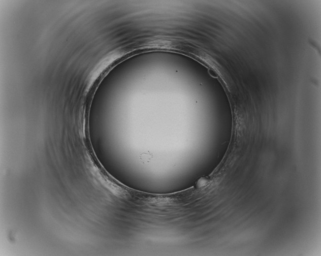 X0000101681131200807171405