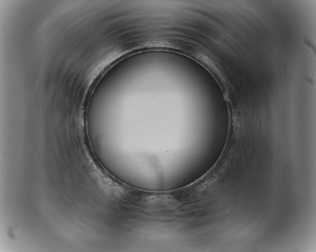 X0000101681133200807171405