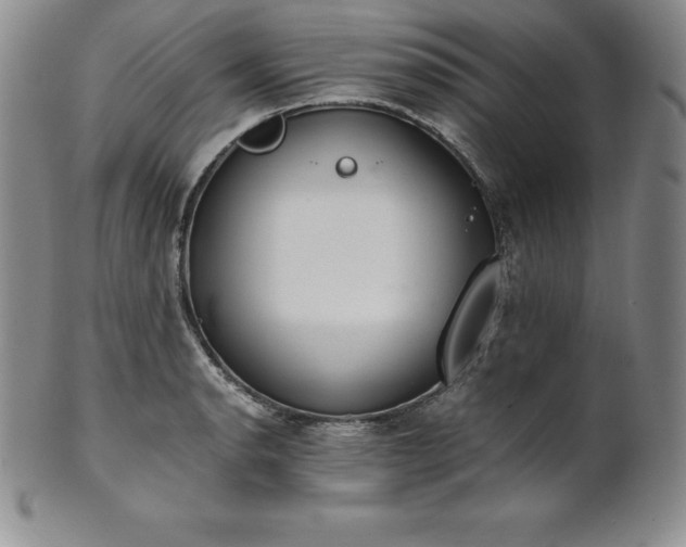 X0000101681134200807171405